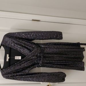 Loft sequin  dress